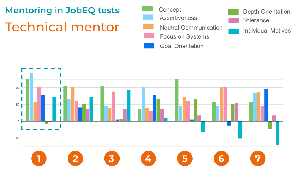 Type Two: Technical Mentor